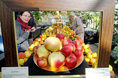 National Apple Day is celebrated at RV Roger Lrd, in Pickering.