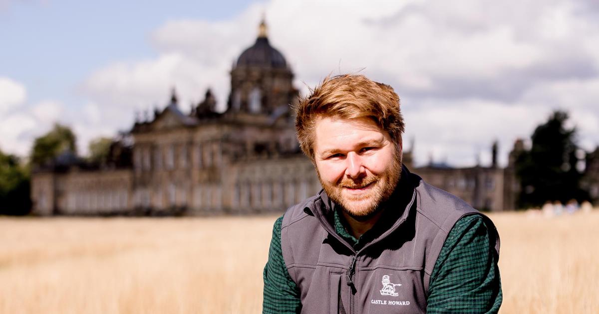Rare White Park cattle herd arrives at Castle Howard in 30-year scheme