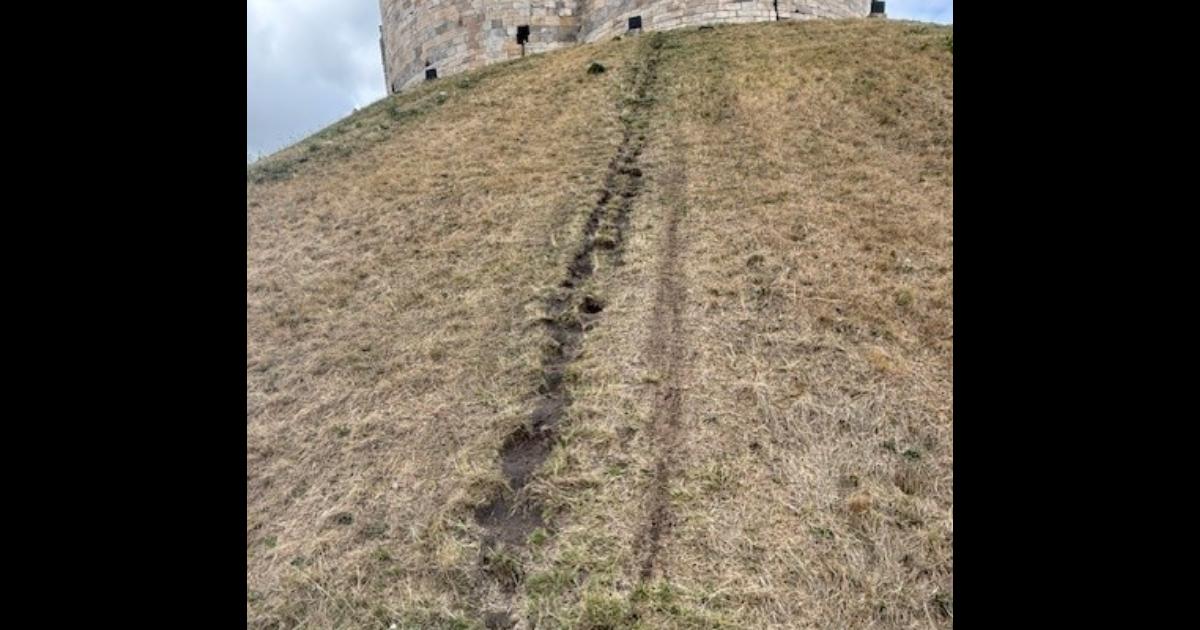 ‘Tragic to see’ - growing concern over damage to historic landmark