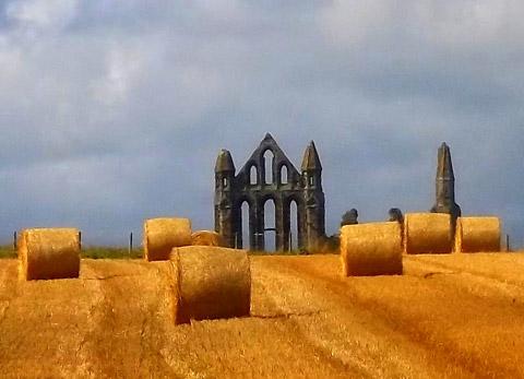 Whitby Abbey with hay bails - view from Saltwick Nab by Gary Hornby