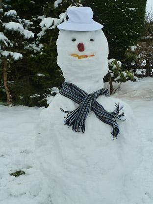 Snowman by Nick Fletcher