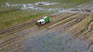 An unprecedented wet winter has meant many farmers have been unable to plant or apply fertiliser