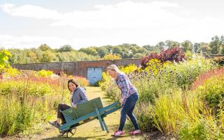 Helmsley Walled Garden launches the first in a series of Community Days. Photo Gary Walsh