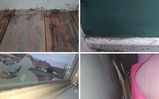 A mother said damp and mould in her home in Skelton near York has left her wishing she never moved in