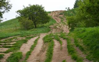 Damage and erosion at Roseberry Topping. Photo Andrew Davies