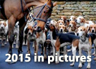 Gazette & Herald: Gazette & Herald year in pictures 2015