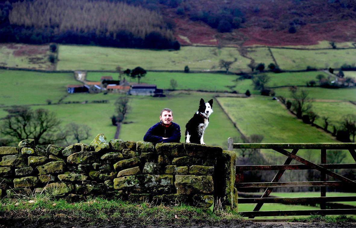 Ella the sheepdog gives a helping paw to young farmer Sam Leng, who is part of the Yorkshire Moors Agricultural Apprenticeship Scheme.