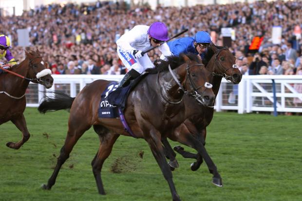 MALI MAGIC: Sands Of Mali, ridden by Paul Hanagan, wins The QIOPCO British Champion Sprint Stakes at Ascot in October. Picture: Julian Herbert/PA Wire